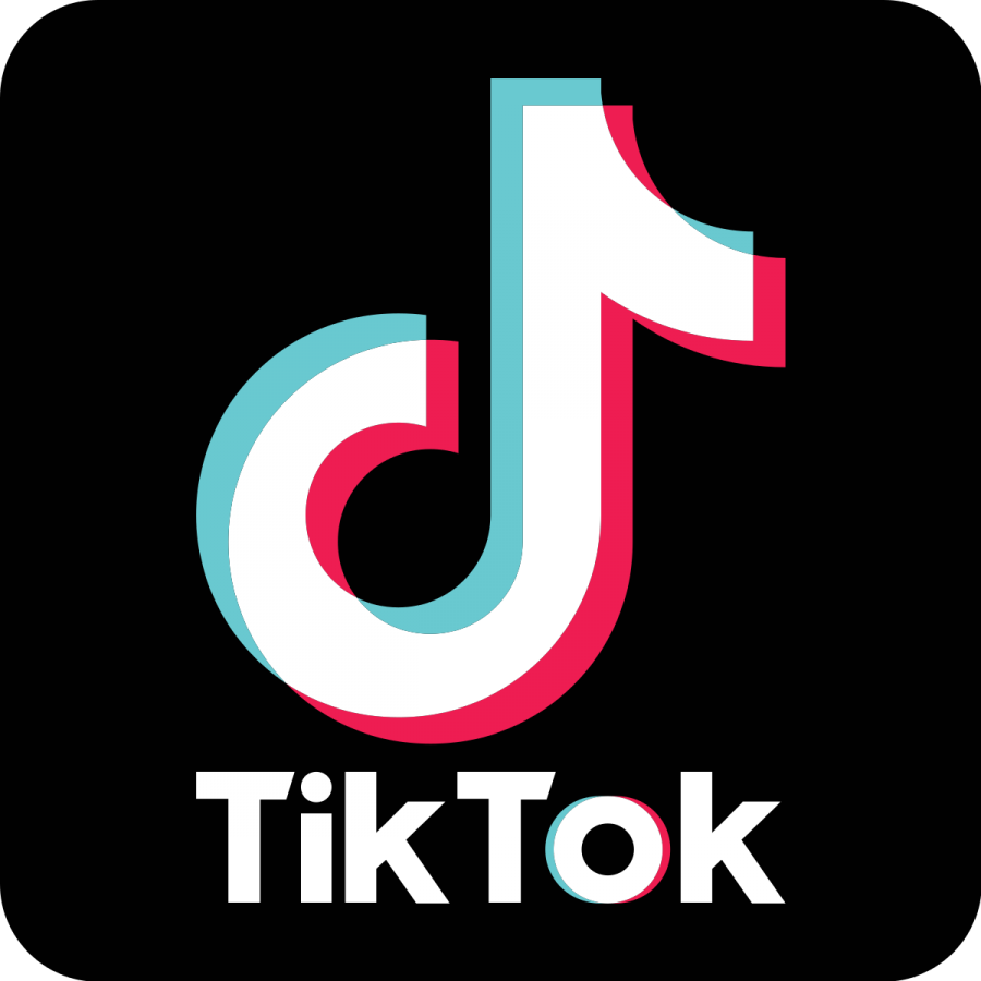 Do You Have Tik Tok?