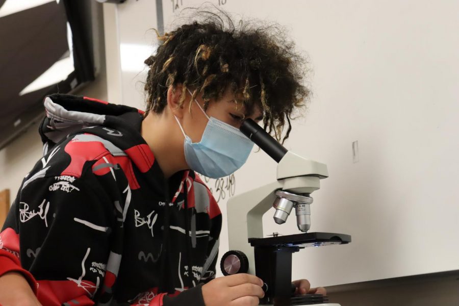 Today, Biology 1 student Breighton Sepulveda is excited to see what micro organisms he can find! When asked what his favorite part of the lab was he said It was fun seeing living things that we cant see with the naked eye. My favorite species Ive seen so far was a tiny worm wiggling around.