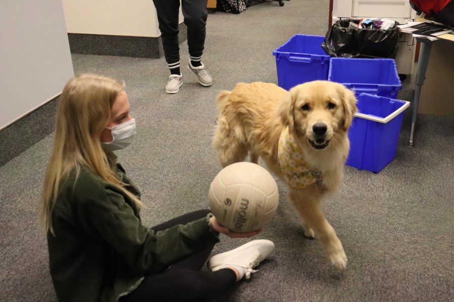 Abby Campbell takes time to teach Daisy a few Volleyball moves. 